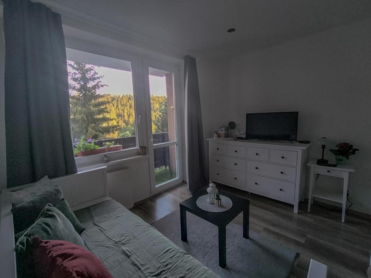 Apartmanek Protez Янське Лазне Экстерьер фото