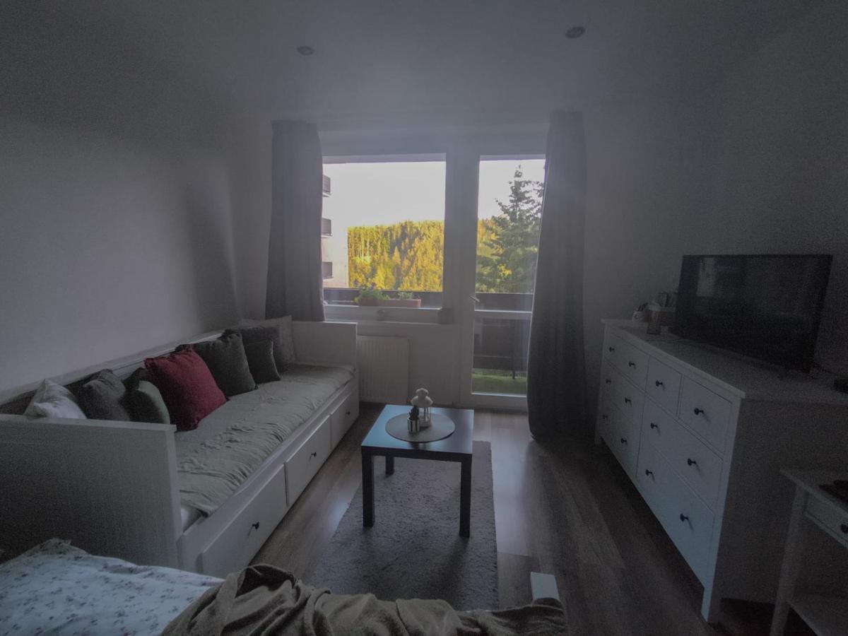 Apartmanek Protez Янське Лазне Экстерьер фото